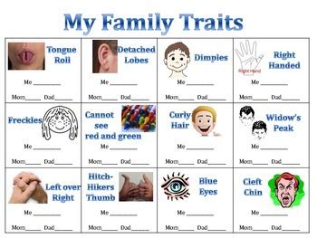 Heredity Traits Examples