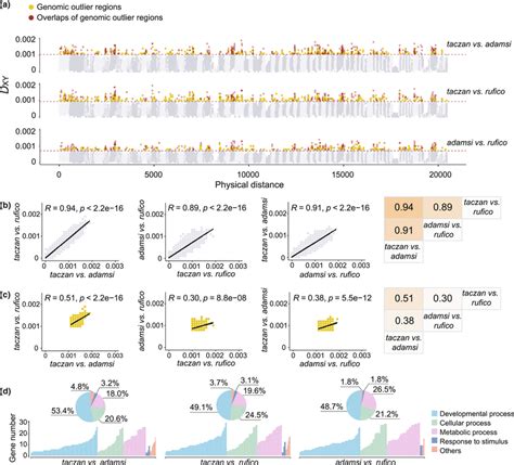 Genomic Landscapes Of Divergence And Correlation Of DXY Between Pairs