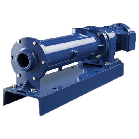 Seepex Motorized Stainless Steel Cavity Pump Pj