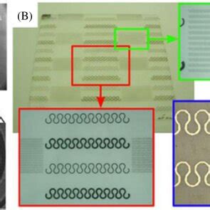 Patterned Compliant Metal Thinfilm Electrodes A Nm Cr Au Cr