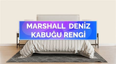 Deniz Kabu U Rengi Duvar Boyas Rnekleri Ve Marshall Renk Kodu