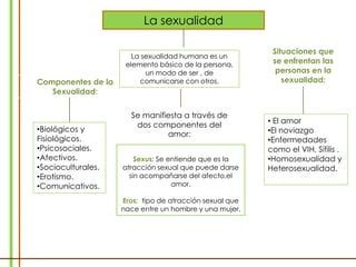 Mapa Conceptual La Sexualidad PPT