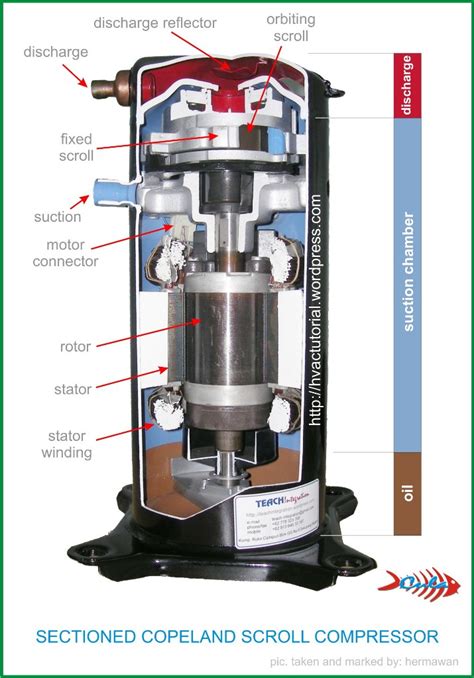 Uprightzer Compressor Wiring Diagram