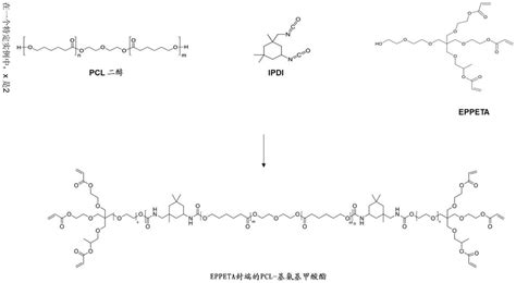 丙烯酸酯封端的氨基甲酸酯或脲基聚合物