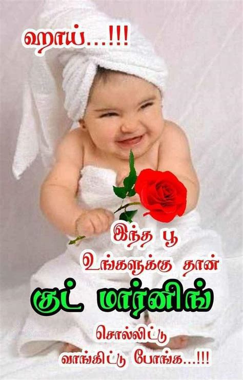 🌹🌹🌹🌹🌹🙏🙏🙏🙏🙏இனிய காலை வணக்கம்🌹🌹🌹🌹🌹🙏🙏🙏🙏🙏 • Sharechat Photos And Videos