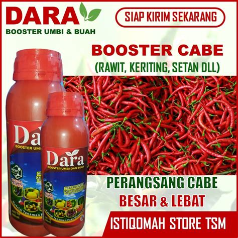 Jual Dara Booster Umbi Dan Buah Nutrisi Tanaman Fase Generatif Netto