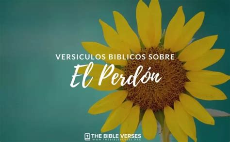 Vers Culos De La Biblia Sobre El Perd N Textos B Blicos