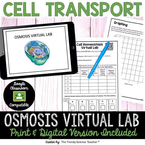 Cell Homeostasis Osmosis Virtual Lab ⋆ The Trendy Science Teacher