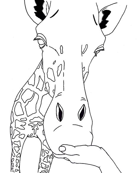 Giraffe Face Coloring Page Coloring Pages