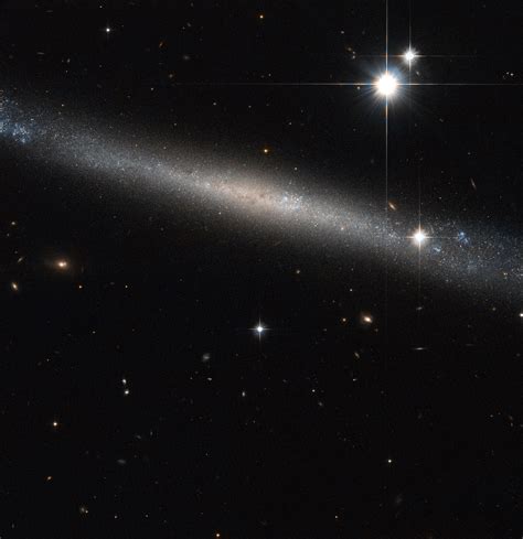 Orbiterch Space News Hubble Eyes The Needle Galaxy