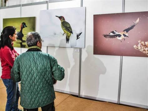 Lo mejor que ver y hacer en Monfragüe Extremadura en 1 ó 2 días