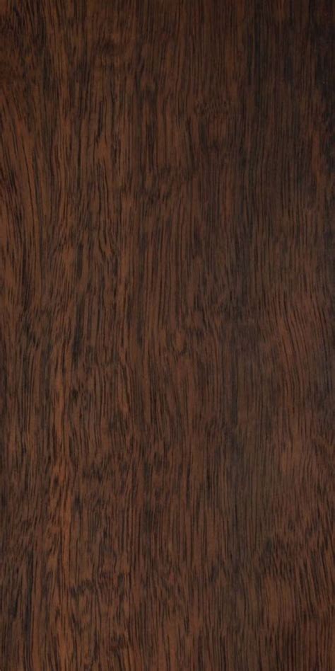 Brazilian Walnut