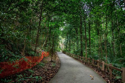 Best hikes in Singapore - Lonely Planet