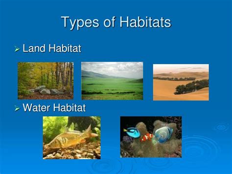 Four Types Of Habitats