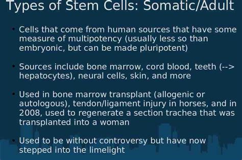 The Stem Cell Controversy Robbie Majzner Legislative Advocacy