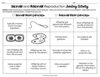 Sexual And Asexual Reproduction Sorting Activity In Print And Digital