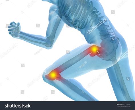 Conceptual 3d Human Man Anatomy Health Stock Illustration 171229592