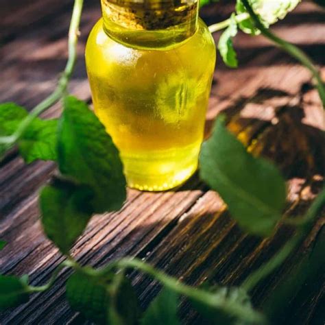 Best Homemade Peppermint Beard Oil for Hair Growth