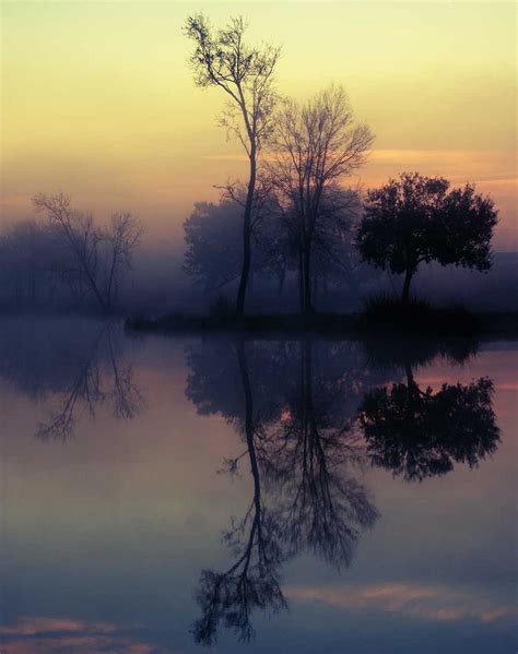 Foggy Lake Sunrise, Louisiana Nature Wall Art Print – Lost Kat Photography