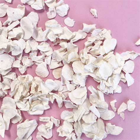 White Wedding Confetti Biodegradable Throwing Petals By Dollz Confetti