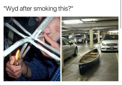 13 Hilarious Wyd Smoking Memes Gallery Ebaums World