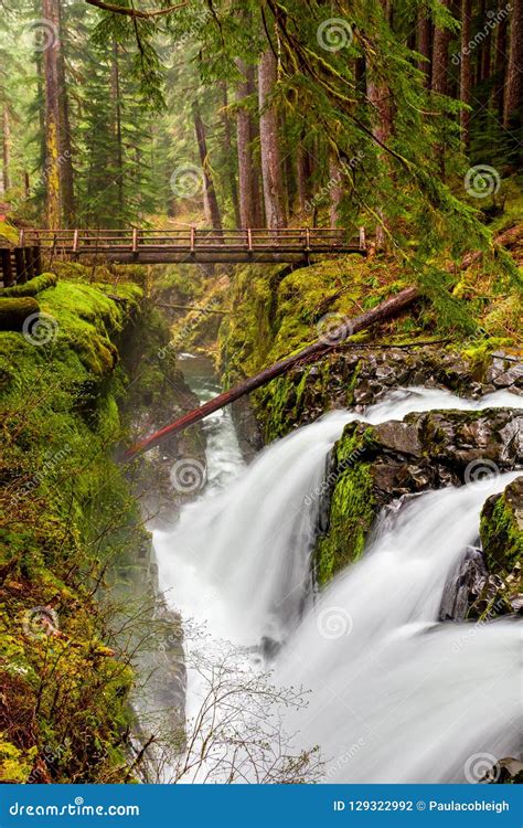 Sol Duc Falls Parque Nacional Ol Mpico Washington State Los E E U U