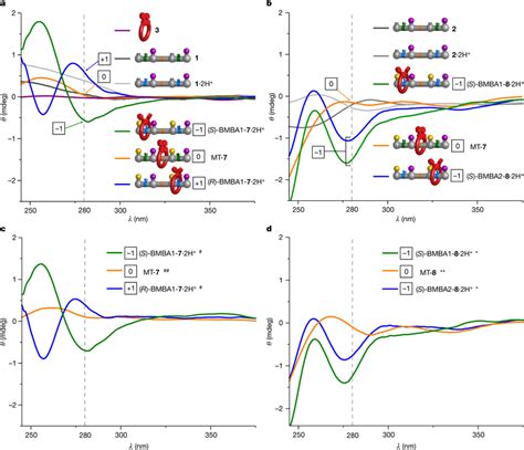 CD Spectra Of The Unthreaded Components And Machine States Formed By