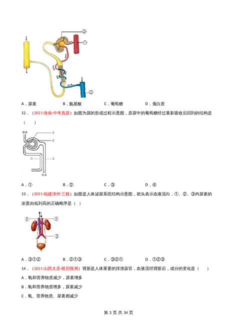 人教版七年级生物下册单元测试ab卷 第04单元第05章 人体内废物的排出（a卷基础夯实）（含解析） 八爪鱼文库