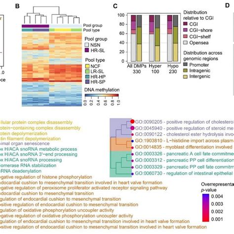 Methylation Levels Of The 9 Differentially Methylated Regions DMRs In