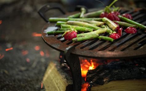 The Art Of Cooking Over Fire Easy Outdoor Cooking Techniques Wild