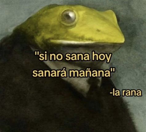 sana sana culito de rana sino sana hoy sanará mañana r BeelcitosMemes