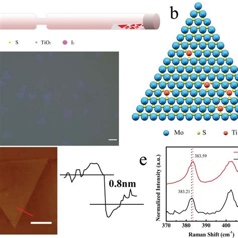 Synthesis Of Ti‐doped Mos2 Monolayer Using Cvt Method A Schematic For Download Scientific