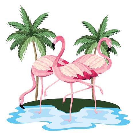 Premium Vector Tropical Flamingos Cartoon