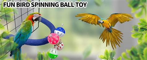 Amazon Flidrunest Bird Toy Rotating Perch Toy With Bell Balls