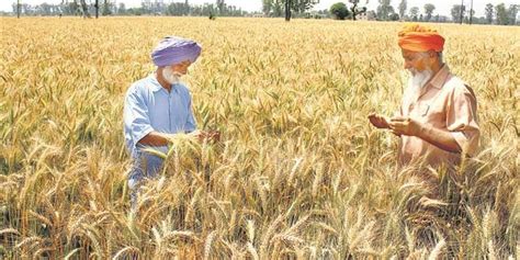 भारत का कृषि निर्यात 50 बिलियन डॉलर की ऐतिहासिक ऊंचाई पर पहुंचा Yourstory