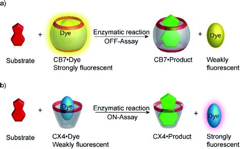 Enzyme Assays With Supramolecular Chemosensors The Label Free