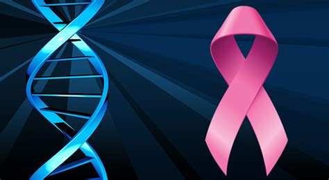 Breast Cancer Risk Assessments Brca Gene Mutation Testing Jgershon