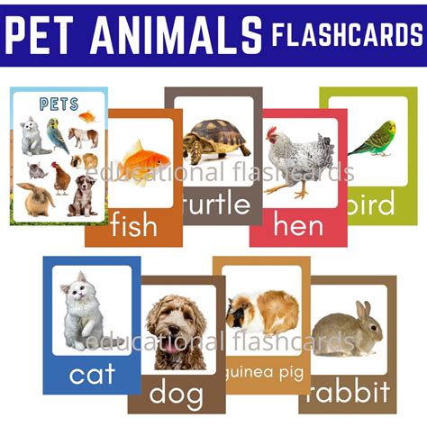 Pet Animals Flashcards, Educational Laminated Flashcards for kids ...