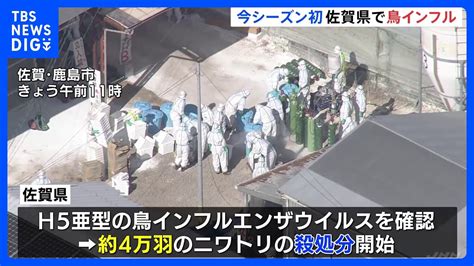 【速報】佐賀県で高病原性鳥インフルエンザの今季初感染が確認された Tweeterbreakingnews－ツイッ速！