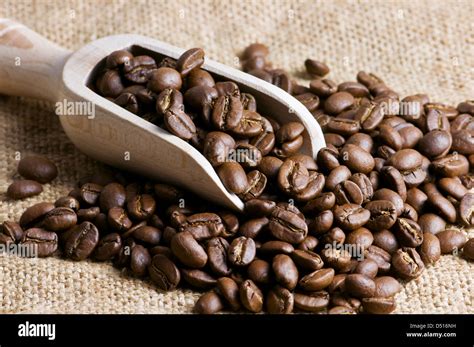 Grano de cafe fotografías e imágenes de alta resolución Alamy