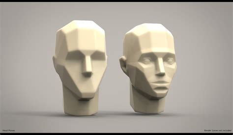 D Model Planes Head Anatomy