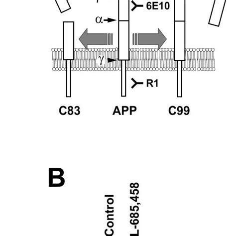 App Processing A Schematic Representation Of App Processing App