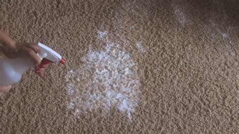 How To Clean Entire Carpet Without Machine | www.resnooze.com