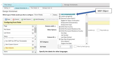 Sap Successfactors H Compensation And Variable Pay Release