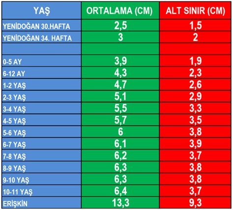 Yoldan Geçen şiddetli kesim dartos kası büyütme egzersizleri Lüks kutu