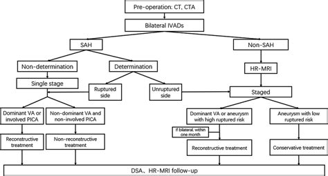 Endovascular Treatment Of Bilateral Intracranial Vertebral Artery