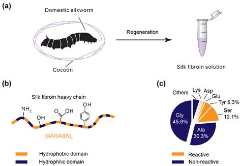 Polymers Free Full Text Photo Crosslinked Silk Fibroin For D Printing