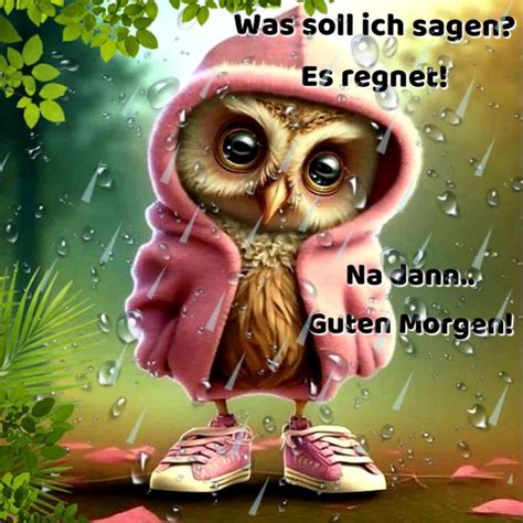 An Owl In A Pink Coat And Sneakers Is Standing On The Ground With Raindrops