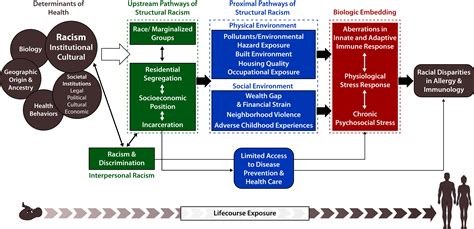 Structural Racism And Its Pathways To Asthma And Atopic Dermatitis