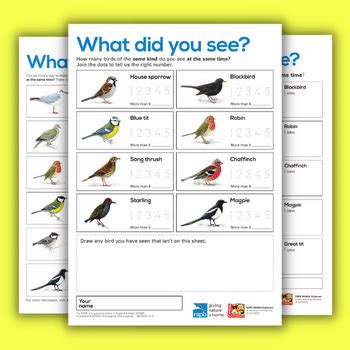 Rspb Garden Birds Poster | Fasci Garden